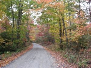 Country road in North Carolina